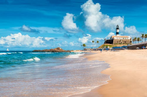 Barra Beach in Salvador de Bahia &ndash; &copy; pcalapre - stock.adobe.com