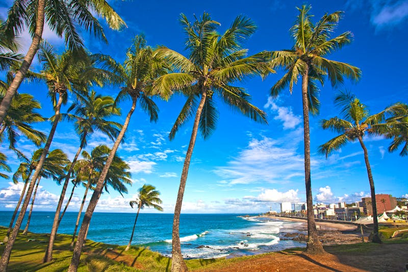 Barra Beach in Salvador de Bahia - ©snaptitude - stock.adobe.com