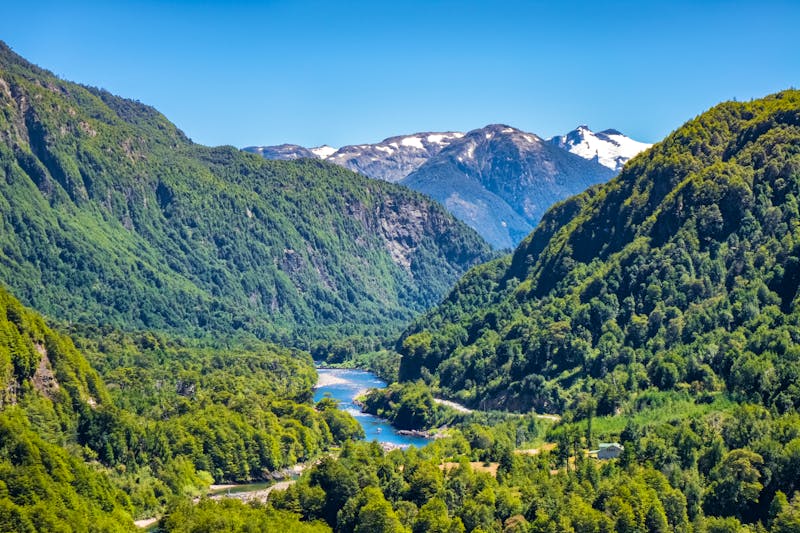Pumalin-Nationalpark in Chile - ©Iuliia Sokolovska - stock.adobe.com
