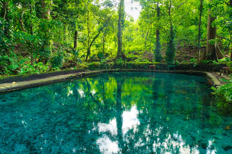 El Ojo de Agua ist ein natürliches Quellwasserbecken auf der Insel Ometepe  - ©Tricia - stock.adobe.com