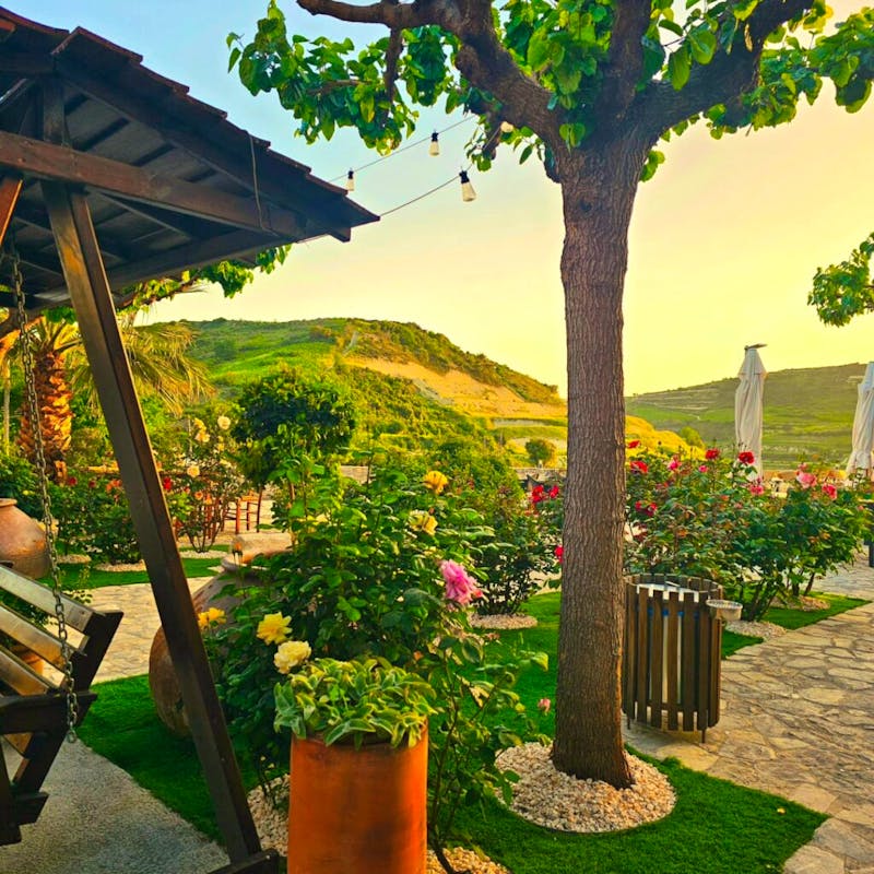 Weingut Gerolemos Omodos - &copy;Ktima Gerolemo - www.ktimagerolemo.com