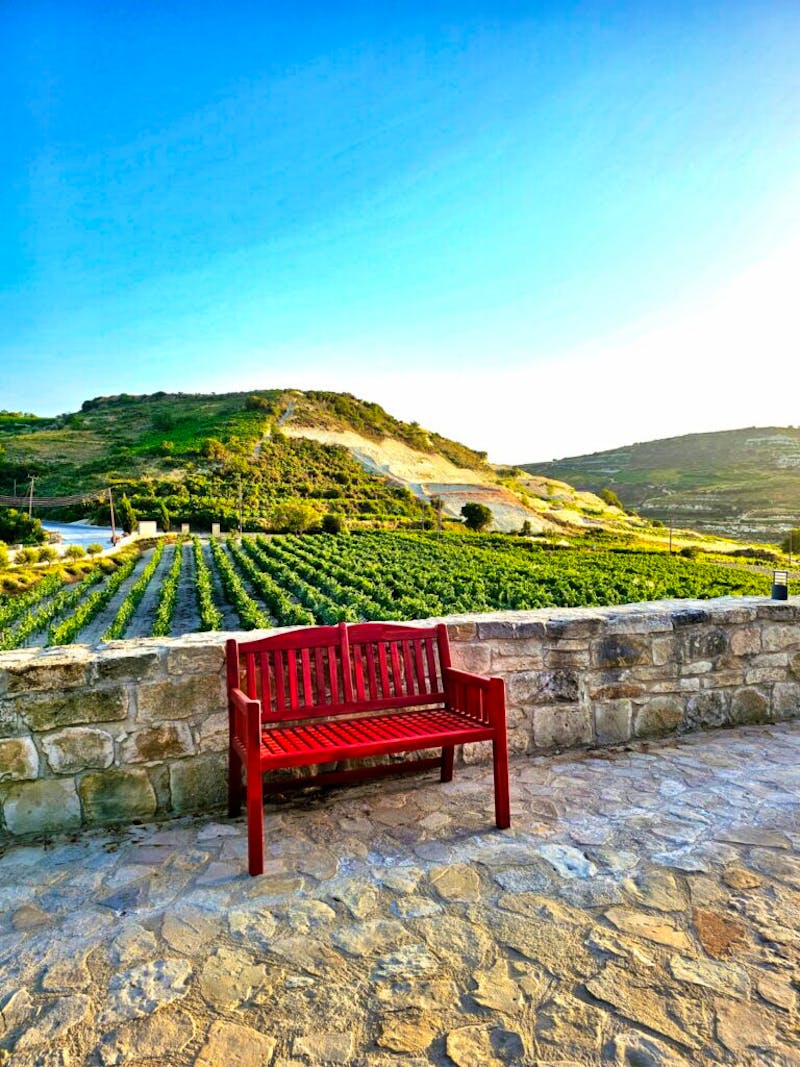 Weingut Gerolemos Omodos Weinberge - &copy;Ktima Gerolemo - www.ktimagerolemo.com