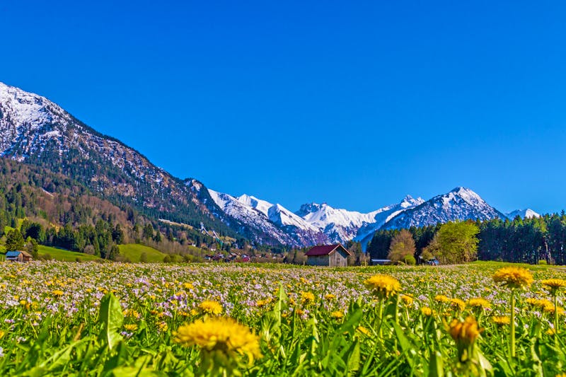 Oberstdorf im Allgäu - ©Dominik Ultes - stock.adobe.com
