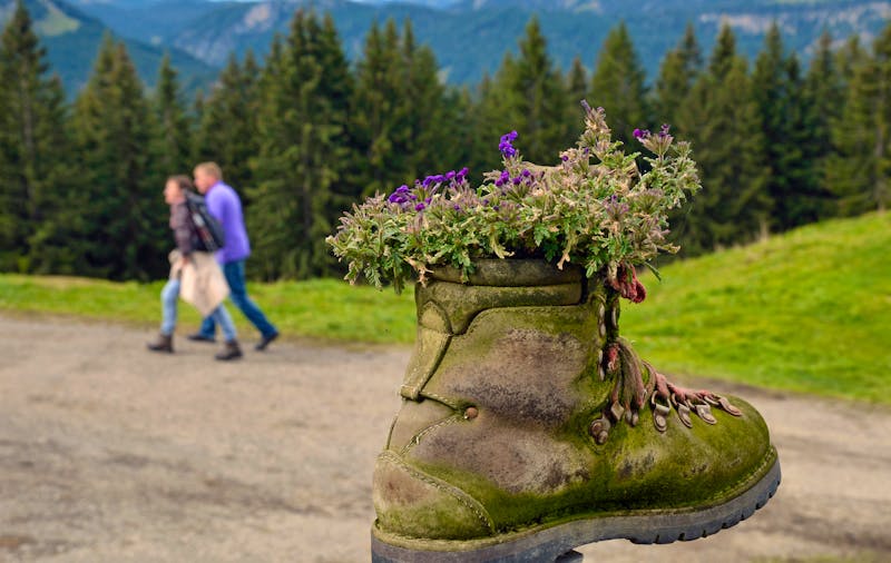 Wanderung zur Alpe Schrattenwang am Söllereck bei Oberstdorf - ©lotharnahler - stock.adobe.com