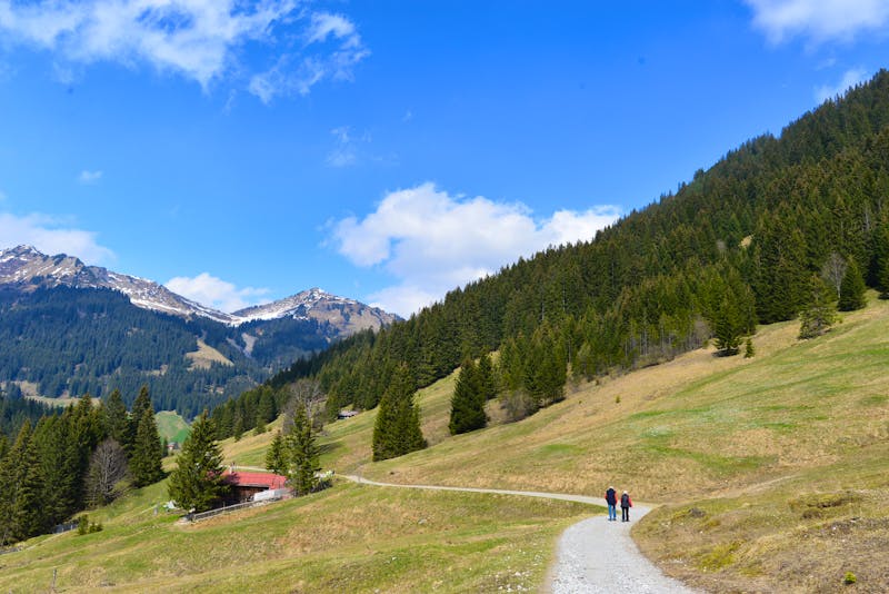 Bärgunttal in den Allgäuer Alpen / Kleinwalsertal - ©Ilhan Balta - stock.adobe.com