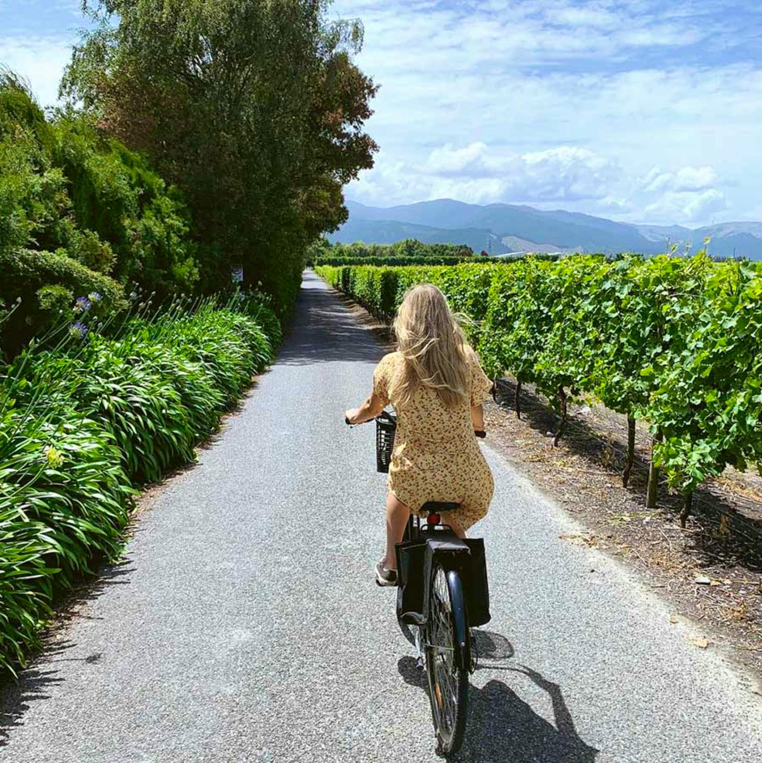 Fahrradtour Weinregion Marlborough - &copy;Wine Tours by Bike