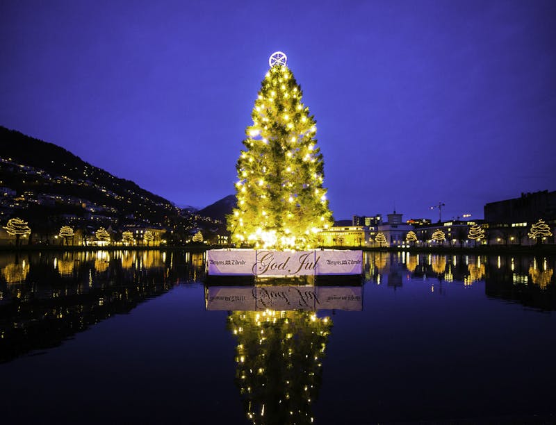 Hurtigruten-Kreuzfahrt zu Weihnachten - Weihnachtsbaum in Norwegen - ©Thomas Ashcraft - Hurtigruten