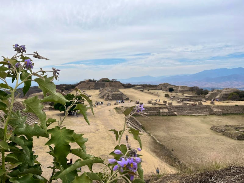 Monte Alban - ©Valentin Meyer-Plath - Eberhardt TRAVEL