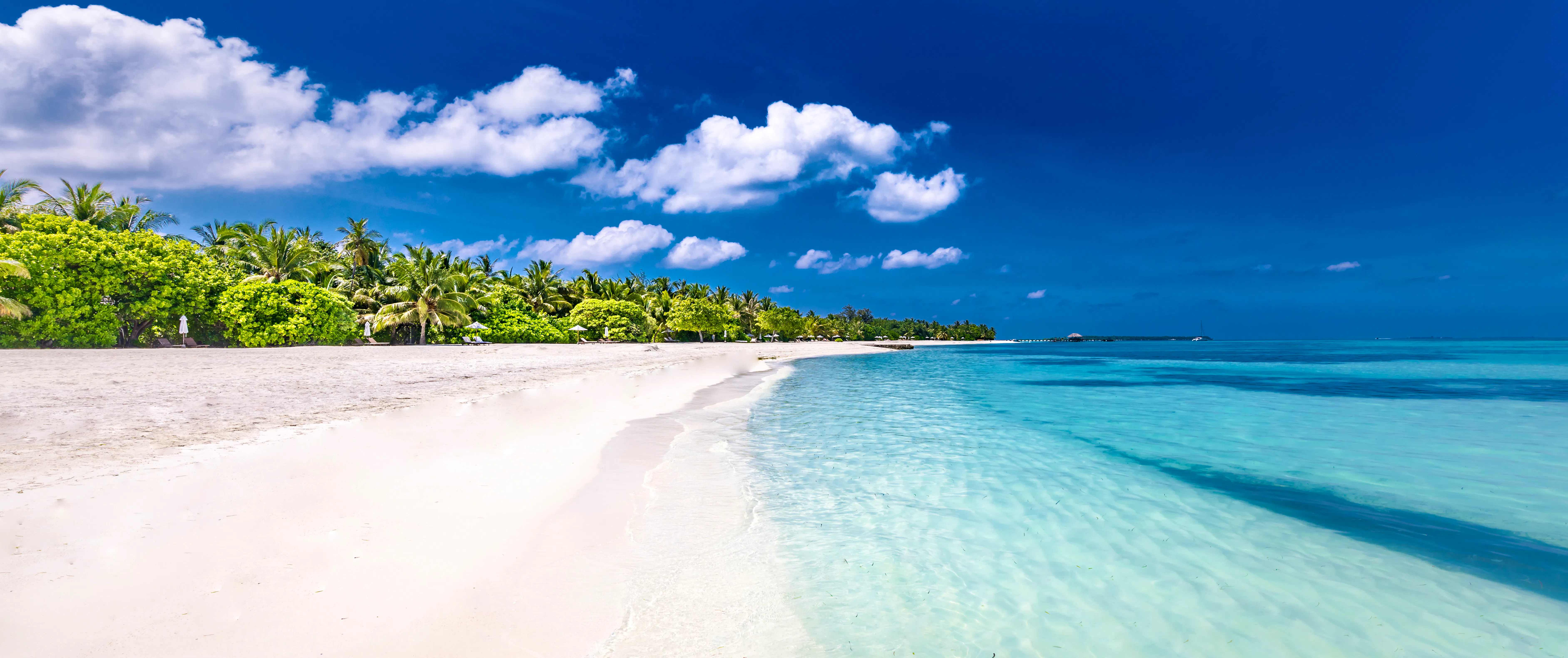 Tropischer Strand auf den Fidschi-Inseln &ndash; &copy; icemanphotos - stock.adobe.com