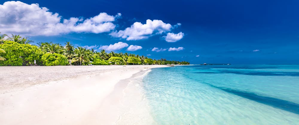 Tropischer Strand auf den Fidschi-Inseln &ndash; &copy; icemanphotos - stock.adobe.com