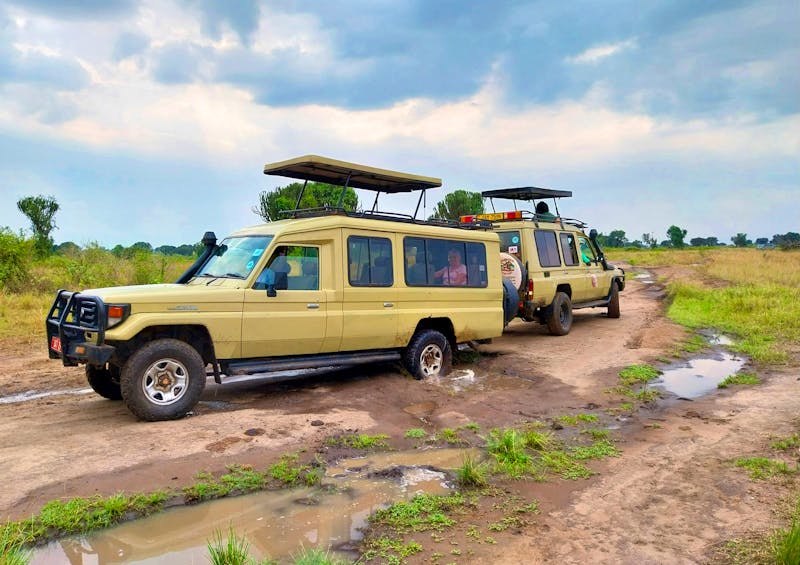 Jeeptour im Queen Elizabeth Nationalpark Uganda - ©Julian Bartsch - Eberhardt TRAVEL
