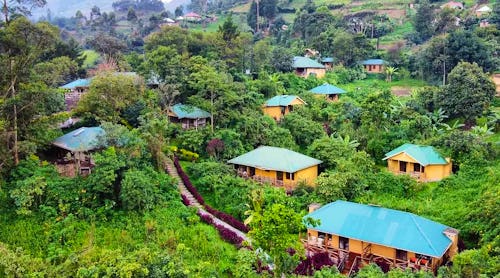 Gorilla Safari Lodge am Rand des Bwindi Impenetrable Forest Nationalparks – © Gorilla Safari Lodge