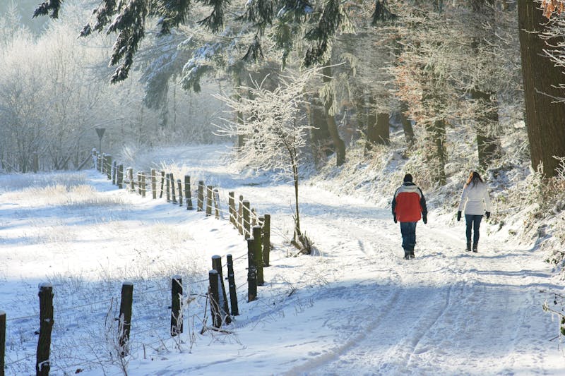 Winterspaziergang - ©Michael Krüger - stock.adobe.com
