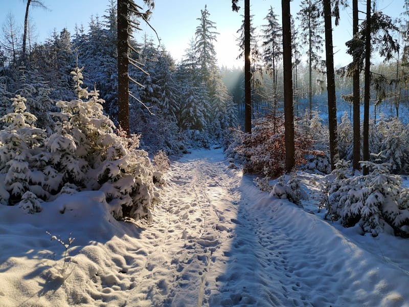 Verschneiter Wanderweg im Spessart - ©werbepixelab - stock.adobe.com