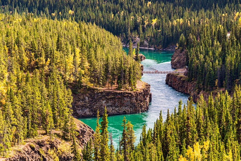  Miles Canyon - Yukon-Fluss bei Whitehorse - ©Scalia Media - stock.adobe.com