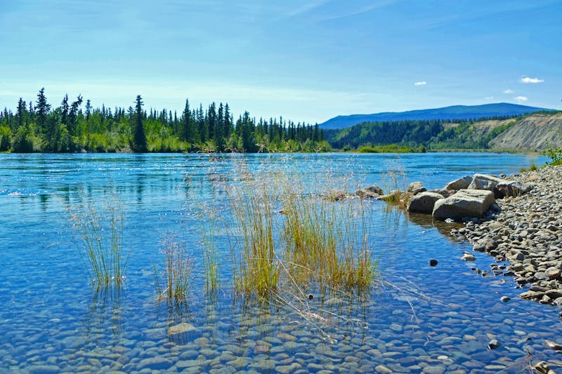 Yukon River bei Whitehorse - ©Milan - stock.adobe.com