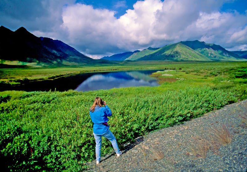 Fotostopp am Dempster Highway im Yukon Territorium - ©John Nakata - stock.adobe.com
