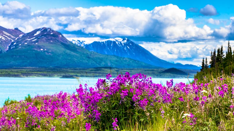 Landschaft im Yukon - Kanada - ©JSoltys Photography - stock.adobe.com