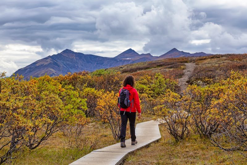 Wanderweg im Tombstone Territorial Park - Yukon - ©edb3_16 - stock.adobe.com