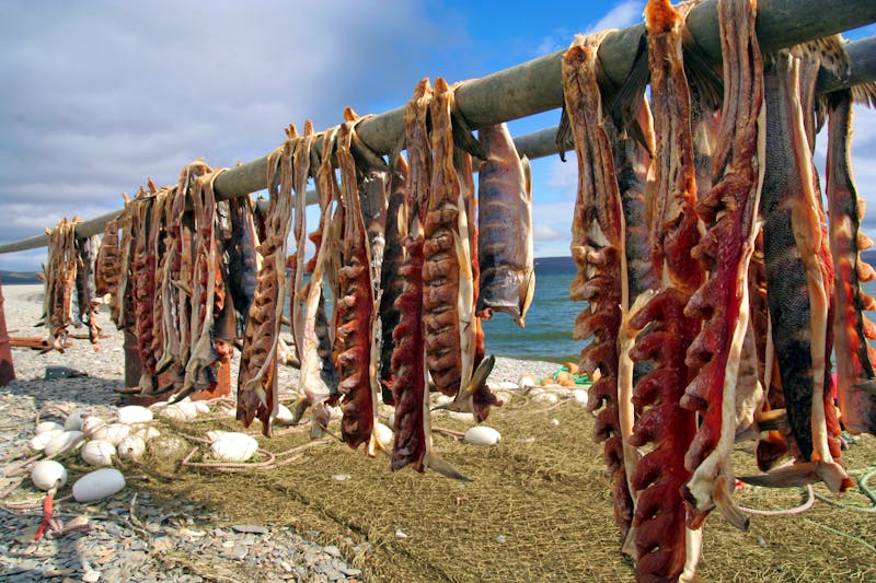 Trockenfisch - ©Maylisphotography - stock.adobe.com