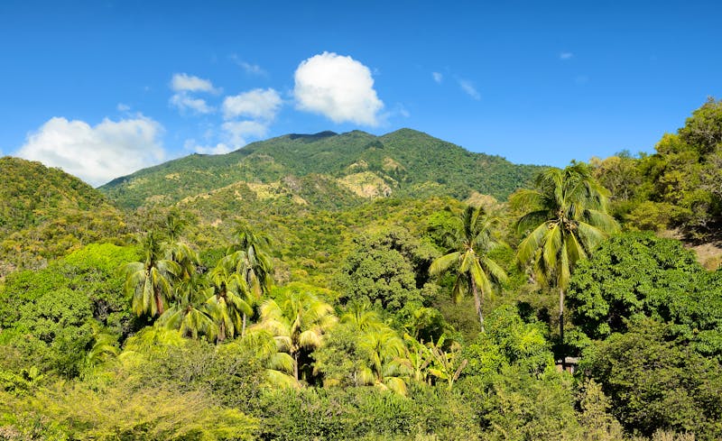 Sierra Maestra Nationalpark auf Kuba - ©Rafal Cichawa - stock.adobe.com