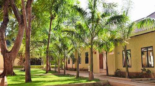 Chanya Lodge – © Chanya Lodge
