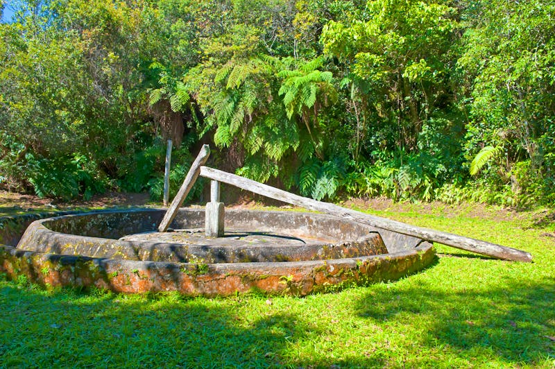 Historische Kaffee-Plantage La Isabelica (UNESCO-Weltkulturerbe) - ©Gabrielle - stock.adobe.com
