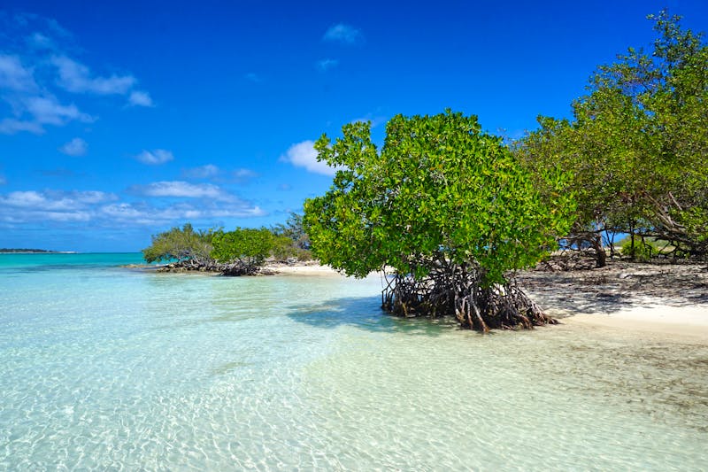 Strand auf Kuba, Cayo Coco, Jardines del Rey - ©franziskahoppe - stock.adobe.com