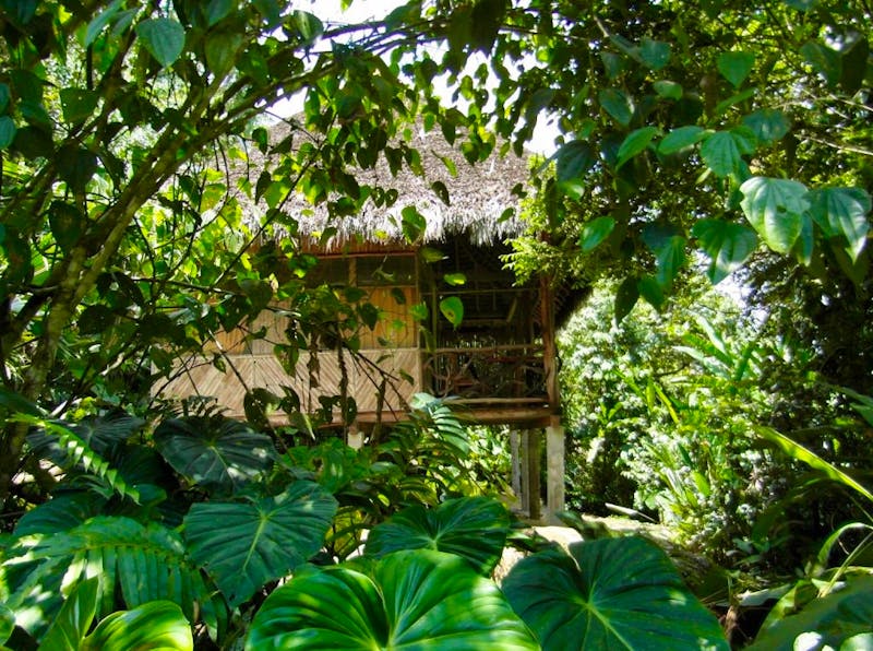 Liana Lodge Bungalow - &copy;2024, Liana Lodge