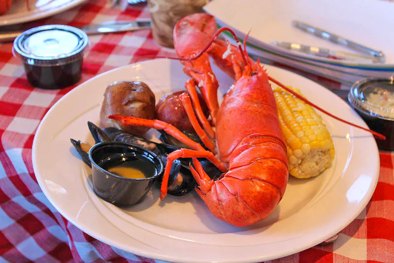 Lobster - Hummer in Maine - &copy;Jacob Spangenberg - Eberhardt TRAVEL