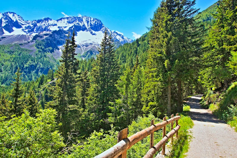 Wanderweg am Passo del Tonale im Trentino - ©bikemp - stock.adobe.com