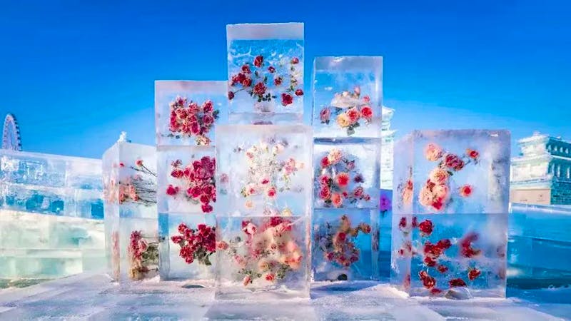 Eis- und Schneefestival in Harbin, China - ©Xiuying Zou