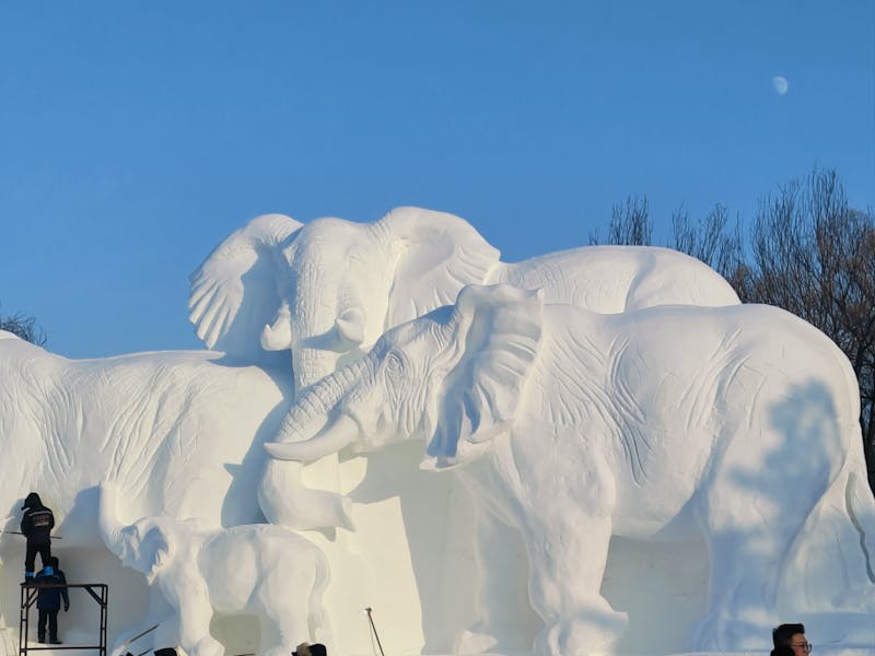 Eis- und Schneefestival in Harbin, China - ©Xiuying Zou