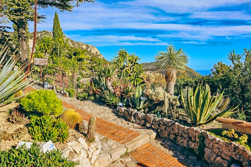 Botanischer Garten Jardin Exotique in Eze an der Cote d'Azur - ©Andrei Antipov - stock.adobe.com