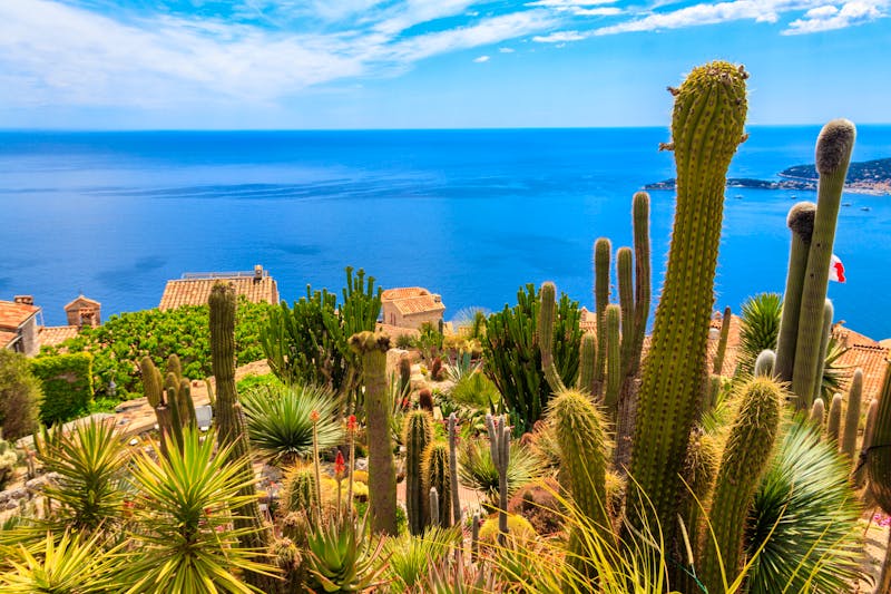 Botanischer Garten Jardin Exotique in Eze an der Cote d'Azur - ©olyasolodenko - stock.adobe.com