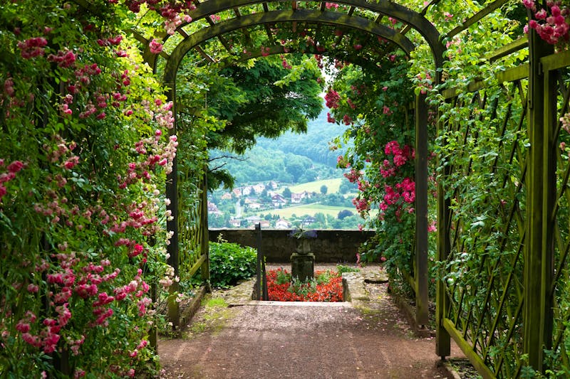 Dornburger Schlösser an der Saale in Thüringen - Rosebögen mit Blick ins Saaletal - ©Christian Sonnet - stock.adobe.com