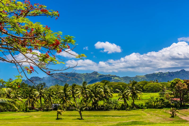 Sleeping Giant Mountains auf der Fidschi-Insel Viti Levu - ©lizcoughlan - stock.adobe.com