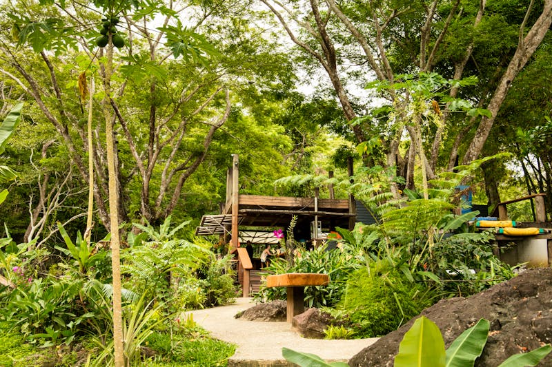 Garden of the Sleeping Giant auf der Fidschi-Insel Viti Levu - ©Nicole - stock.adobe.com