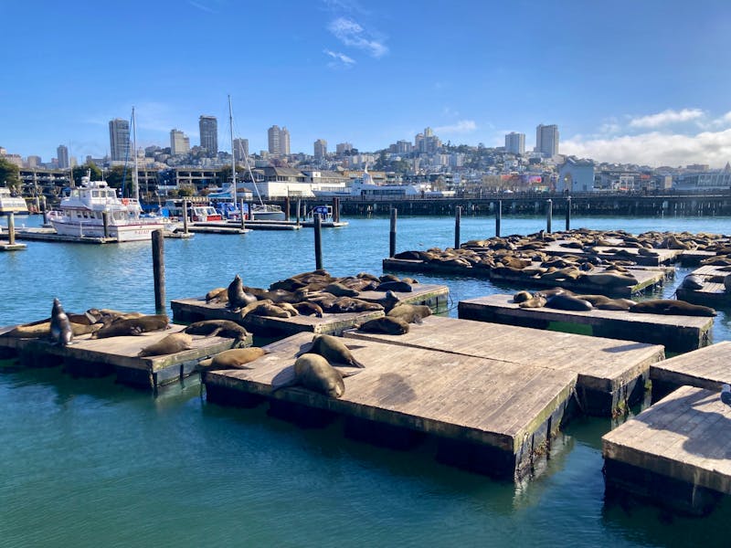 Fisherman’s Wharf - ©Mareike Schmidt - Eberhardt TRAVEL