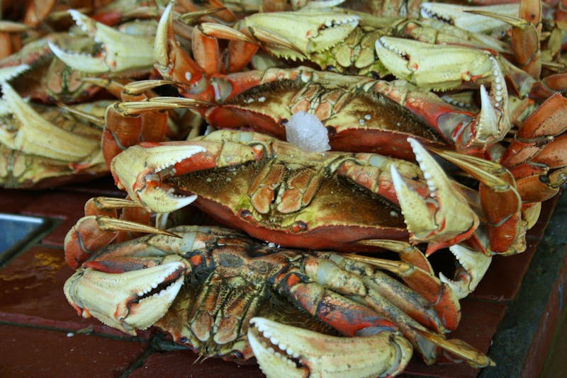 San Francisco - Fisherman`s Wharf - ©Annett Müller - Eberhardt TRAVEL