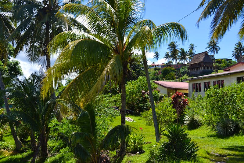 Spaziergang durch Savusavu - ©Andreas Wolfsteller (Eberhardt TRAVEL)
