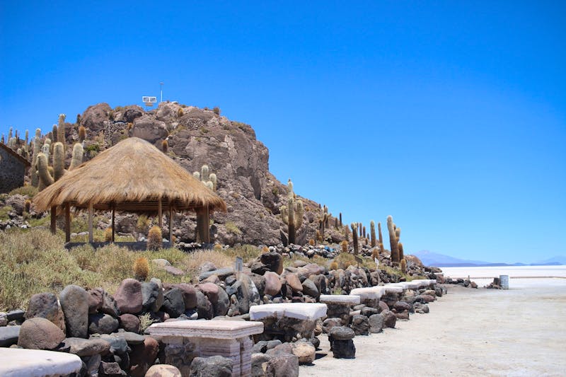 Insel Incahuasi auf dem Salar de Uyuni - ©Marianne Förster - Eberhardt TRAVEL
