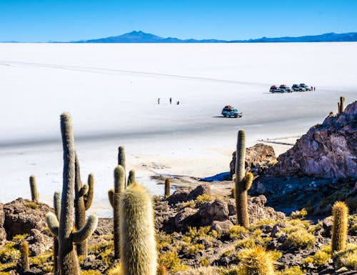 Jeeptour auf dem Salar de Uyuni in Bolivien – © maxthewildcat - stock.adobe.com