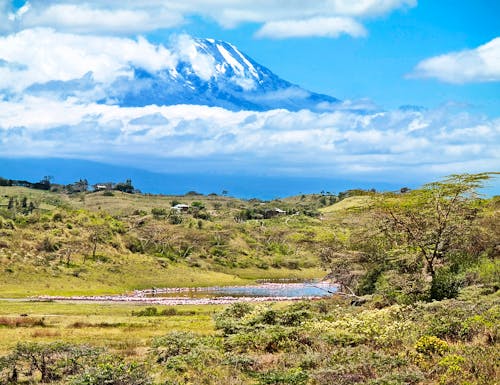 SAMSUNG CSC – © Pixeltheater - stock.adobe.com