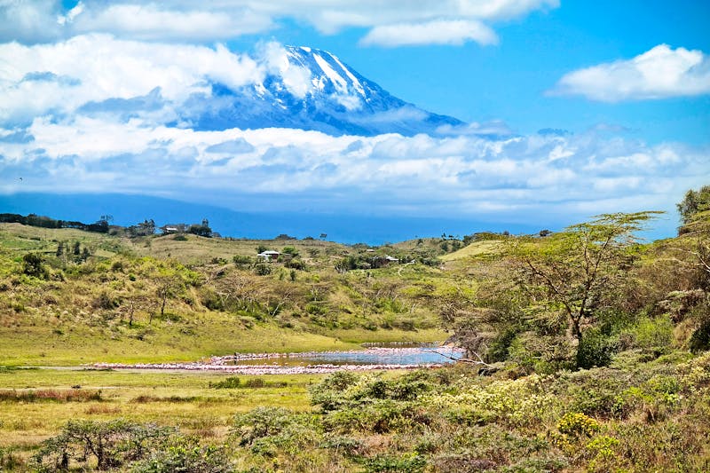 SAMSUNG CSC - ©Pixeltheater - stock.adobe.com