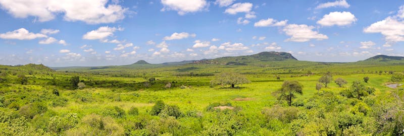 Tsavo West National Park, Kenia - ©Dr. Willy Bruechle, Weiterstadt