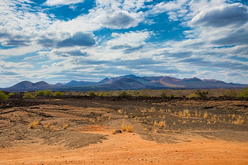 Tsavo West National Park, Kenia - ©tourpics_net - stock.adobe.com