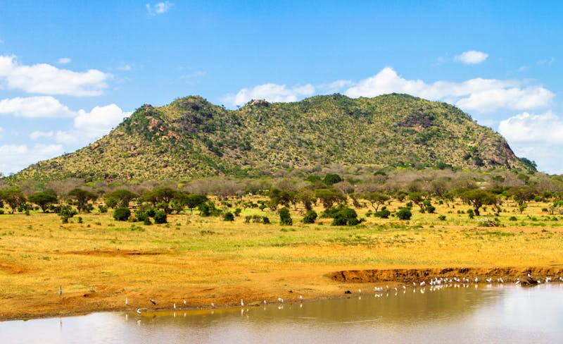 Tsavo East Nationalpark - ©mariusltu - stock.adobe.com
