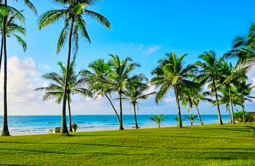 Diana Beach in Kenia &ndash; &copy; kyslynskyy - stock.adobe.com