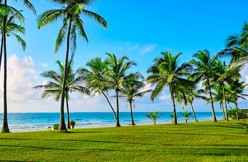 Diana Beach in Kenia - ©kyslynskyy - stock.adobe.com